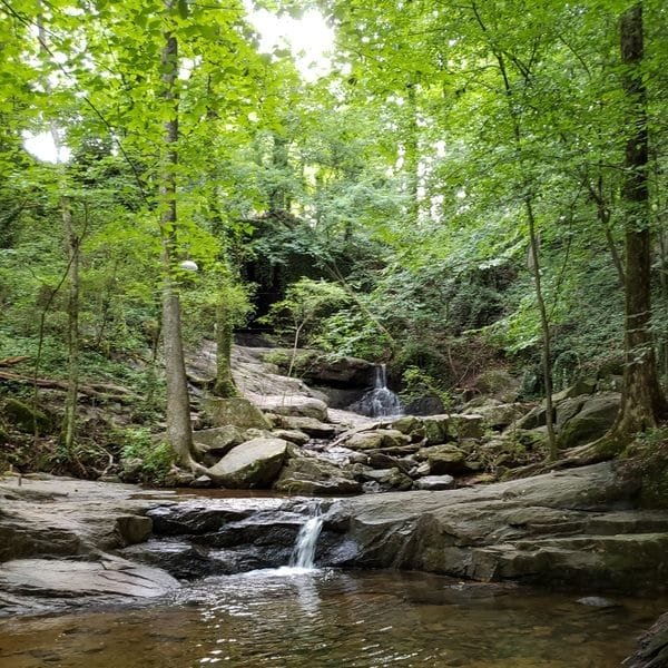 a1b51fc7-98ac-427f-80f8-9b1516bce943f47762ba70b2a9bcc3_IMG_20200709_124907_838